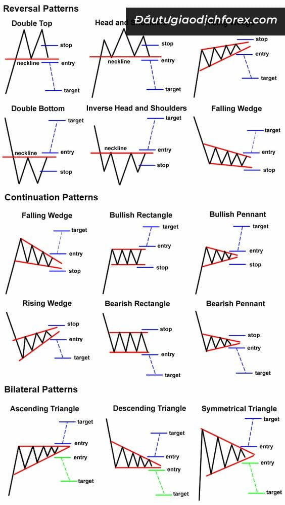 biểu đồ forex thường gặp bạn đừng bỏ qua