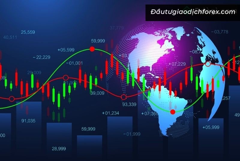 Hoạt động của thị trường tín hiệu Forex