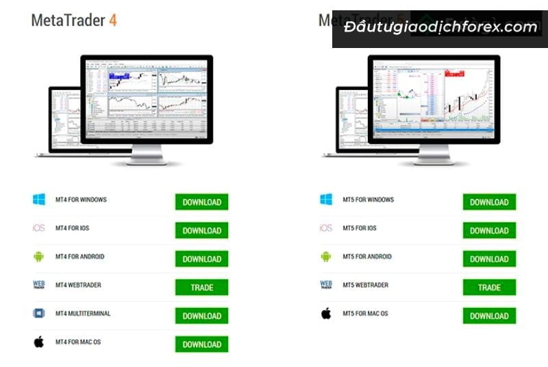 nền tảng MT4 và MT5