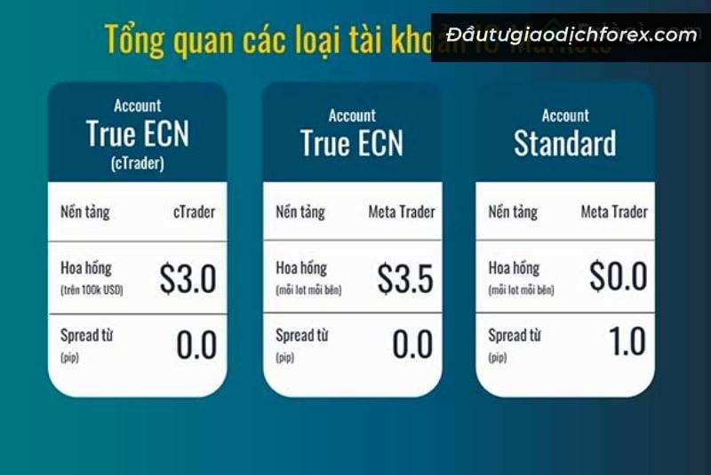  3 loại tài khoản được ICMarkets cung cấp để giao dịch tại sàn 