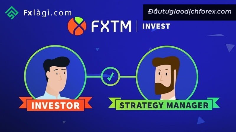 Ngoài MT4 và MT5 thì ForexTime (FXTM) còn cung cấp nền tảng FXTM Invest cho dịch vụ CopyTrade để thu hút thêm nhà đầu tư mới.