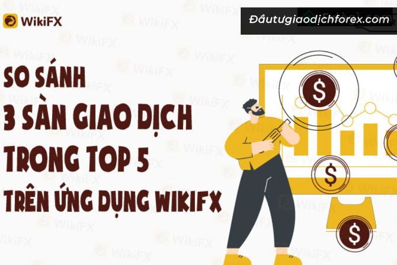 WikiFXX là nền tảng tra cứu về sàn giao dịch ngoại hối