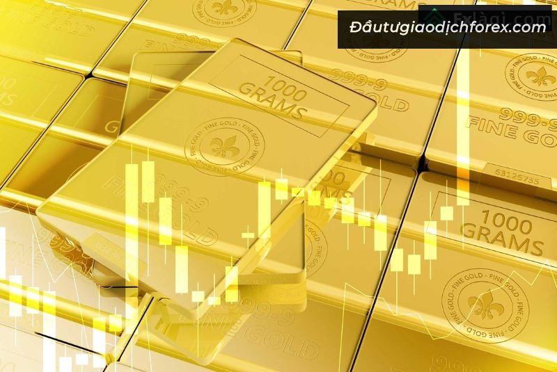 mua vàng sẽ tốt hơn tiền tệ vì giá của nó tương đối ổn định hơn
