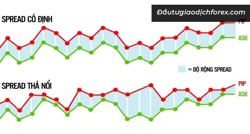 Spread thả nổi là gì?