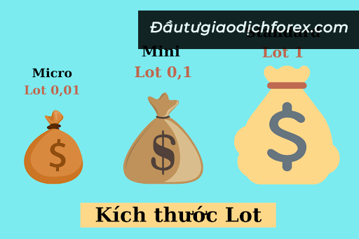 Cách chọn kích thước lot là gì?