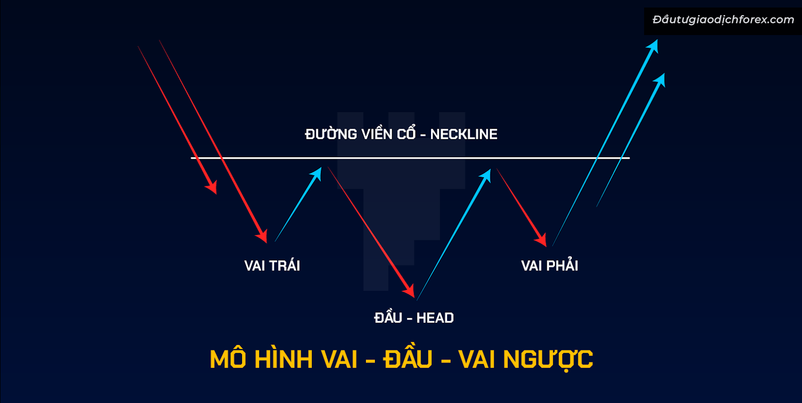 Mô hình vai đầu vai ngược