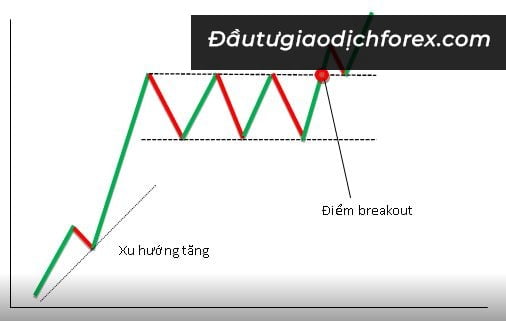 Mô hình chữ nhật tăng giá