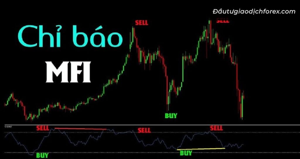 Chỉ báo MFI (Money Flow Index) là gì?