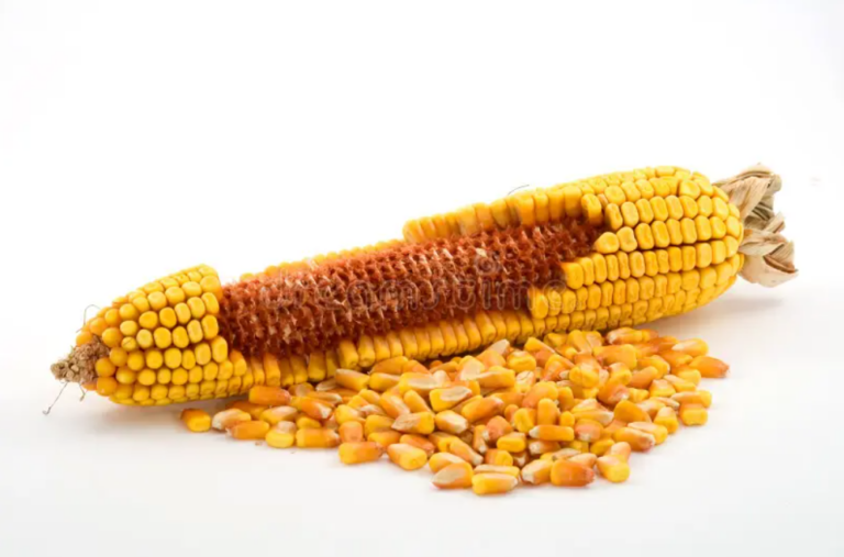 Giao dịch hợp đồng tương lai Corn là gì?