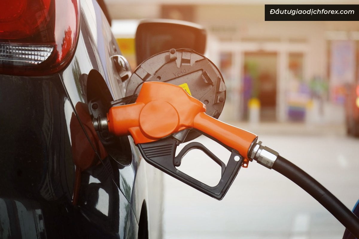 Tình hình và tiềm năng của Gasoline trên thế giới hiện nay được nhà đầu tư quan tâm